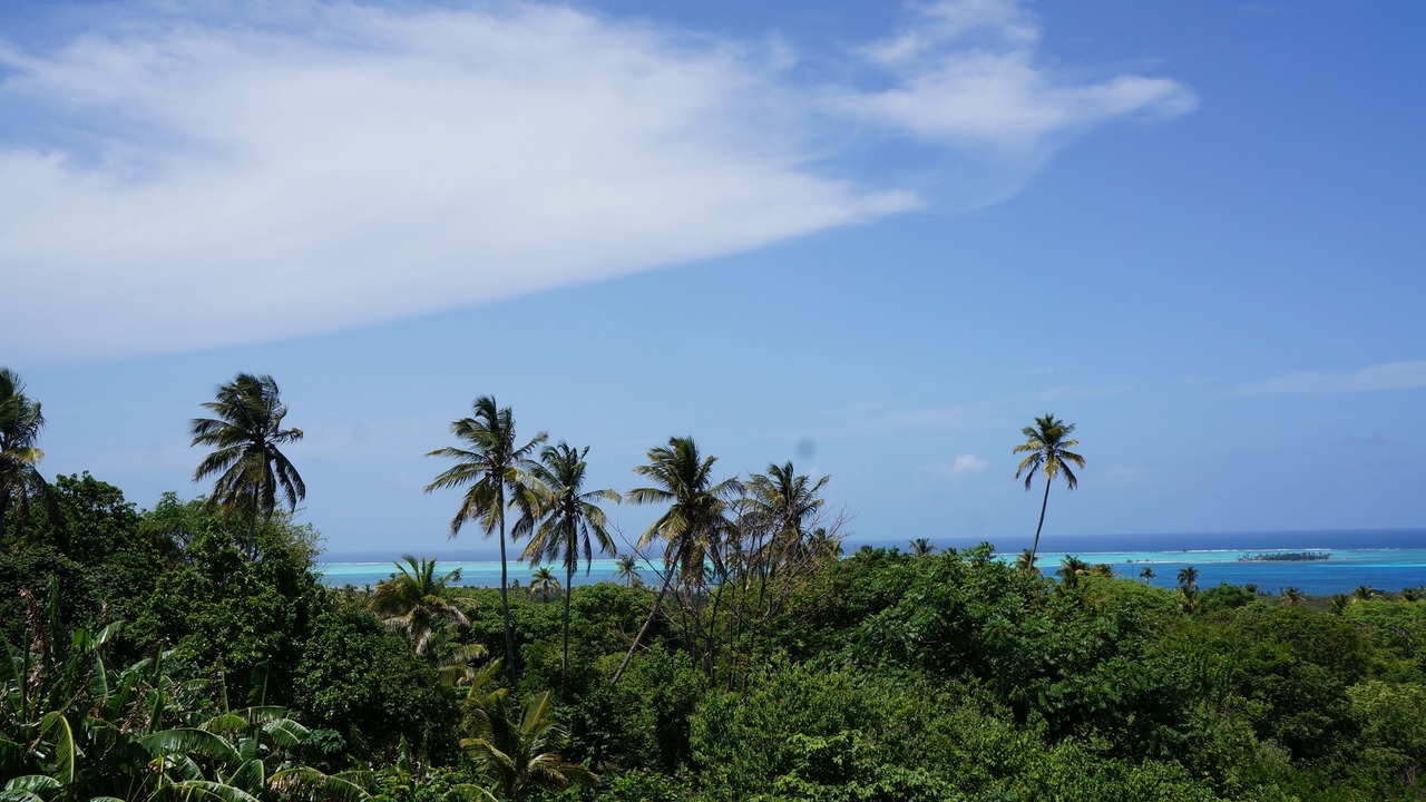 Photo of Others in San Andres