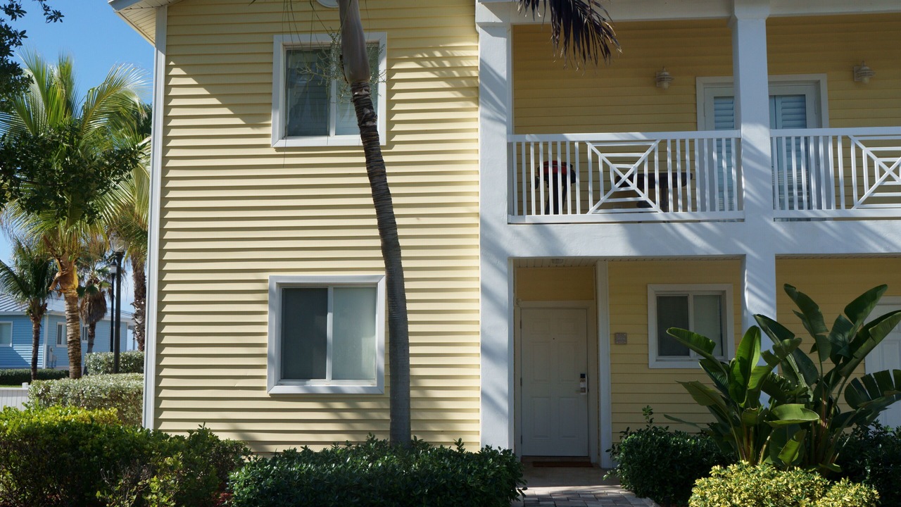 Photo of Outdoor in Alice Town
