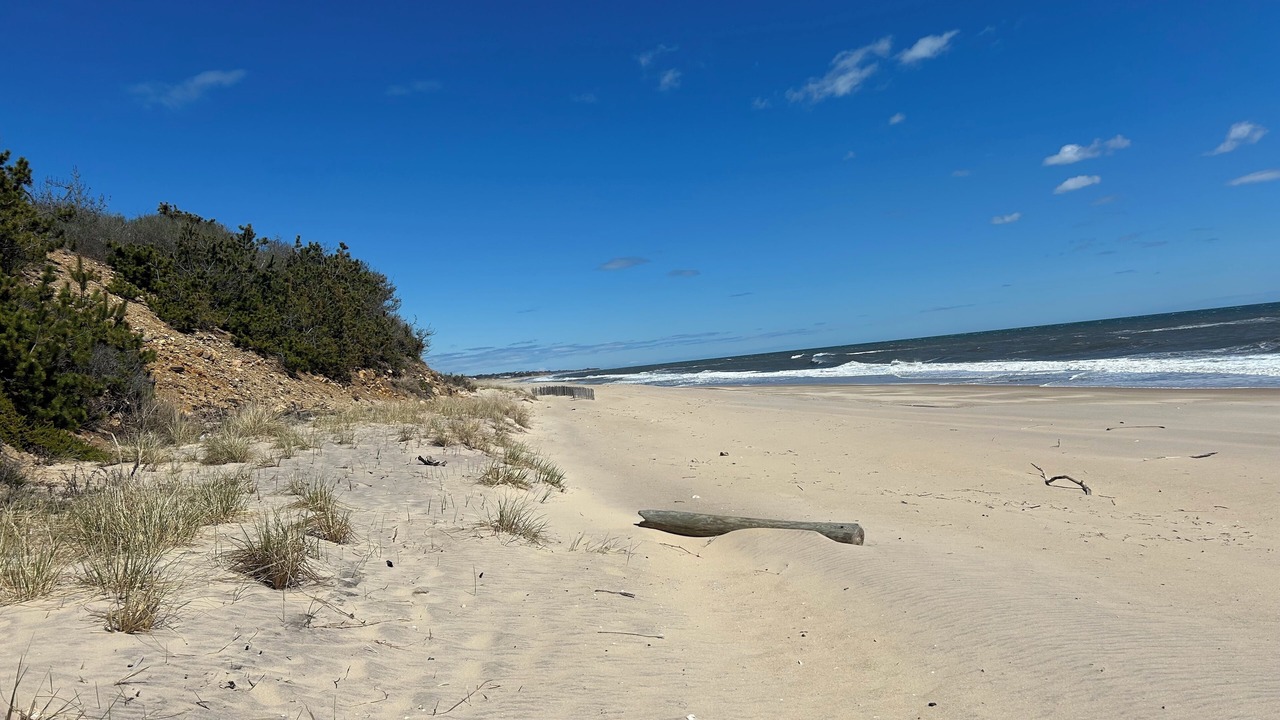 Photo of Others in Montauk