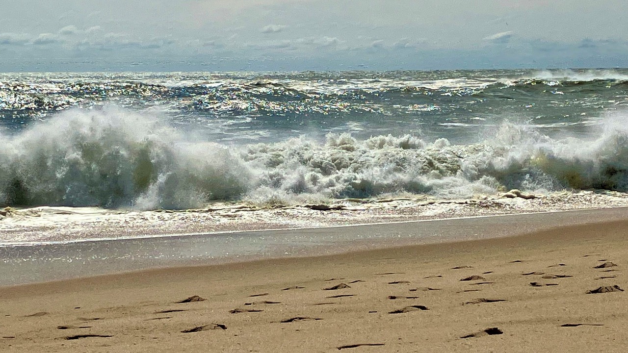 Photo of Others in Montauk