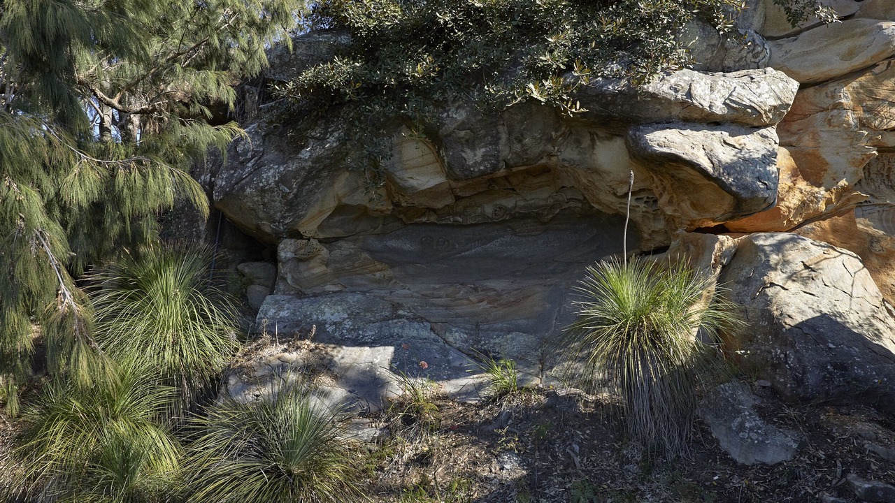 Photo of Outdoor in Great Mackerel Beach