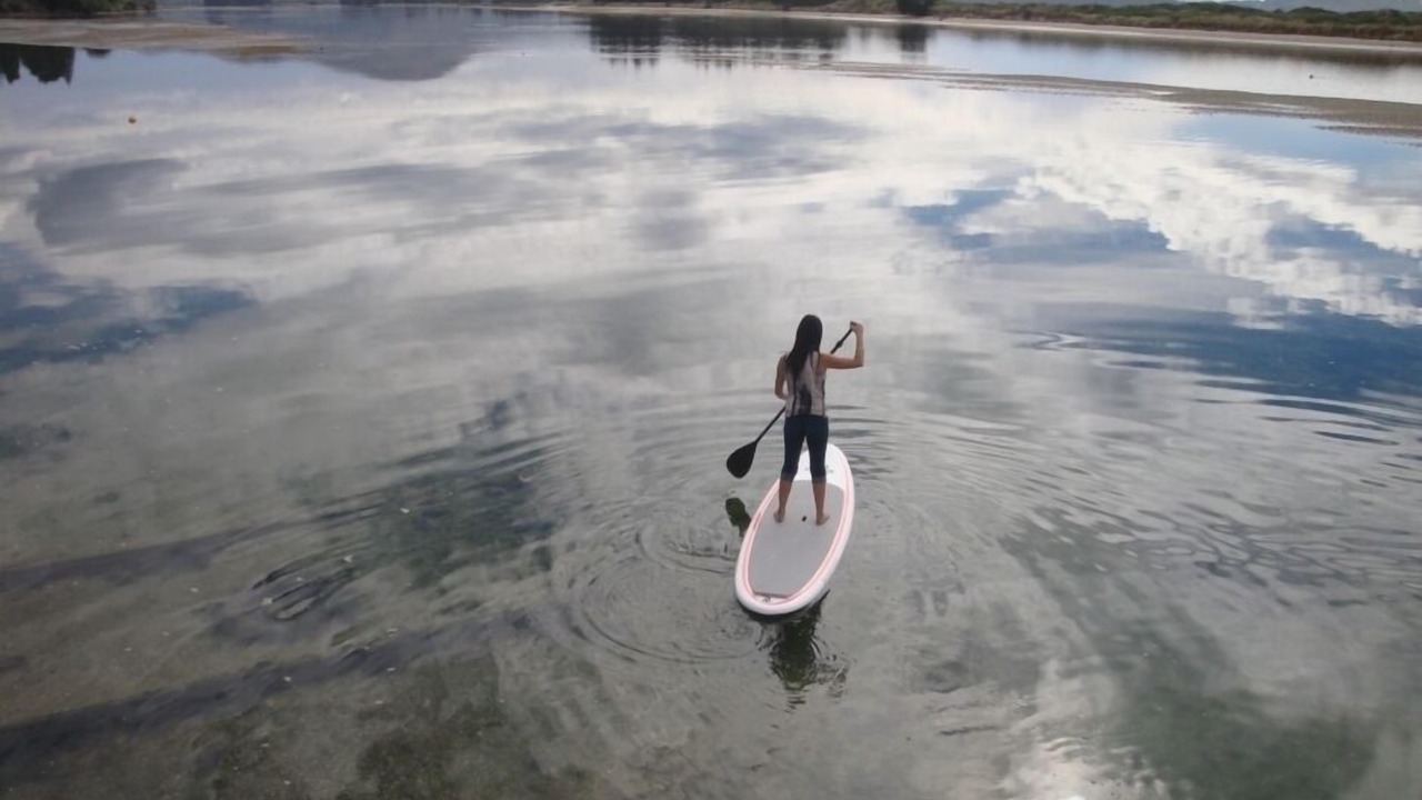Photo of Others in Seacliff