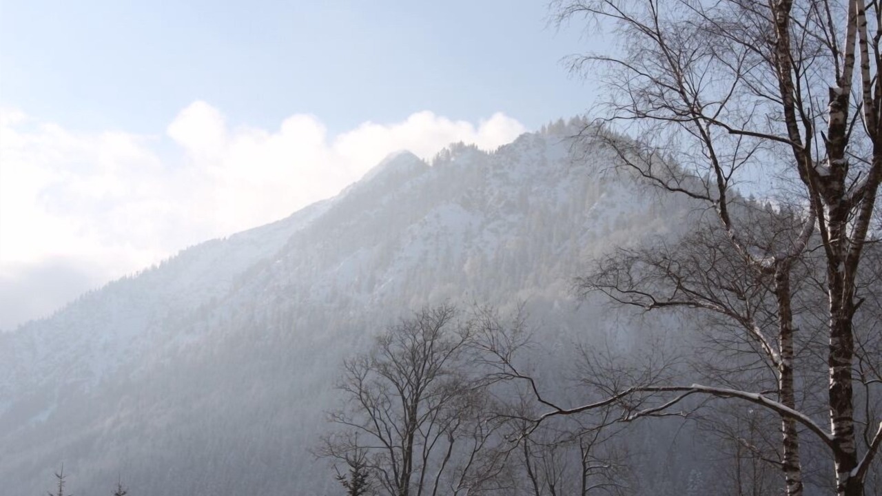 Photo of Outdoor in Neuhaus