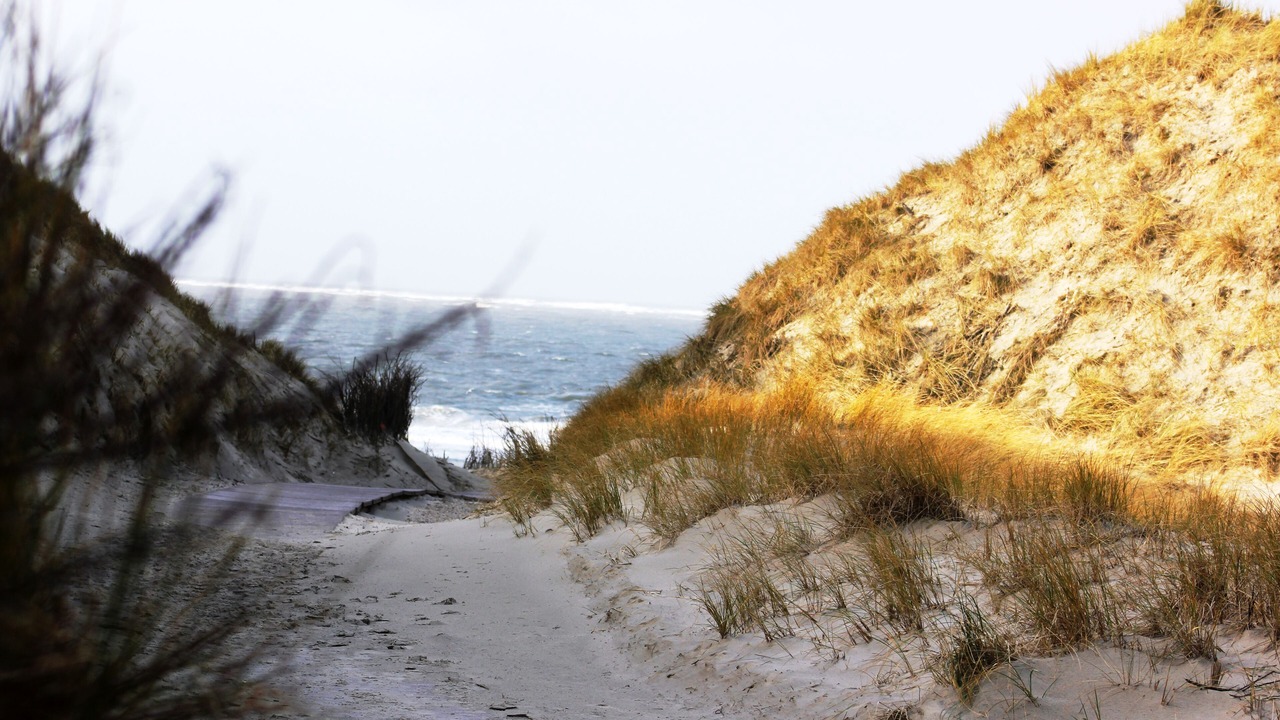 Photo of Others in Norderney
