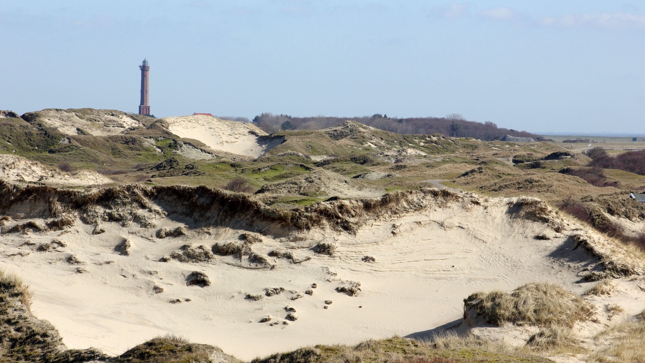 Photo of Others in Norderney