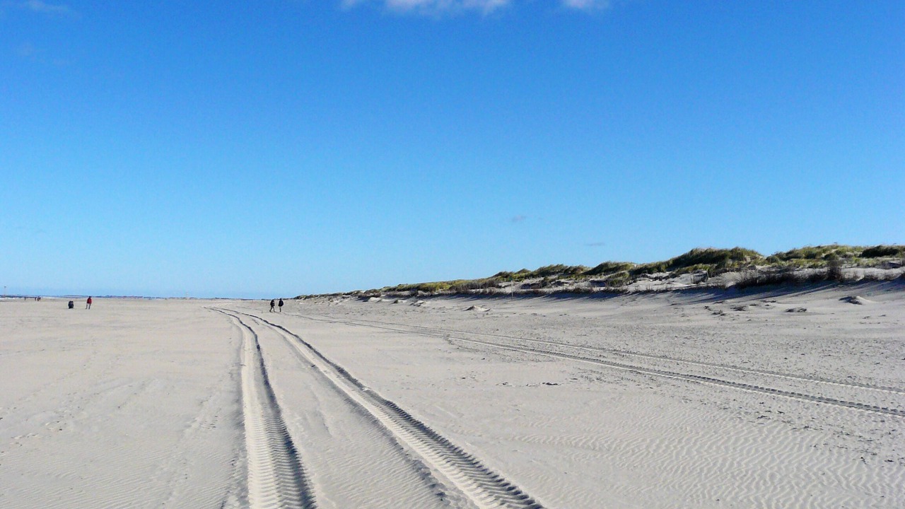 Photo of Others in Norderney
