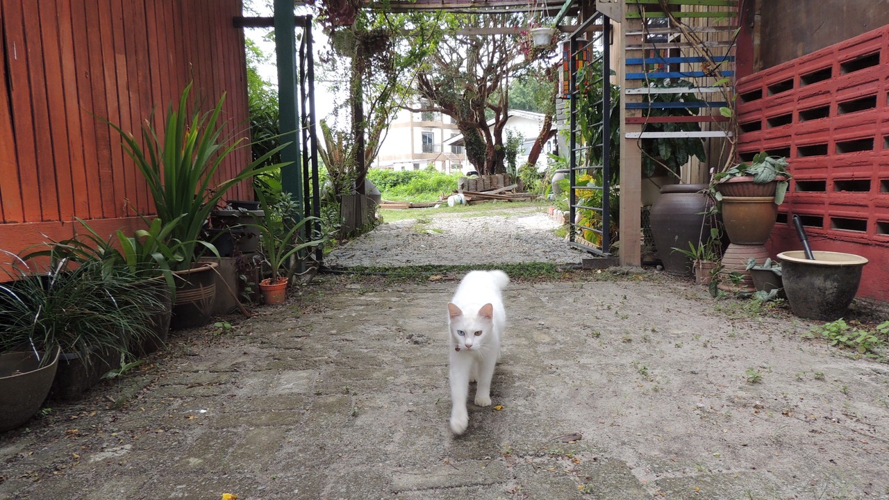 Photo of Outdoor in Lubok Buaya