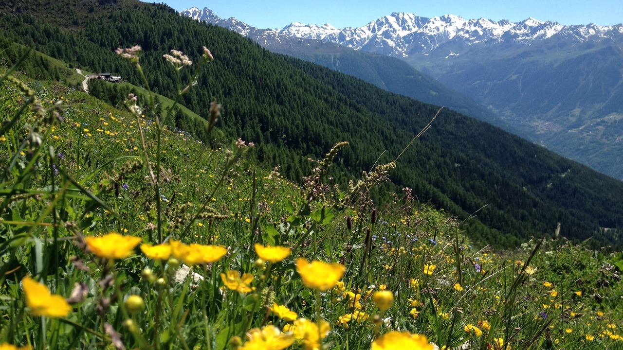 Photo of Outdoor in Mase