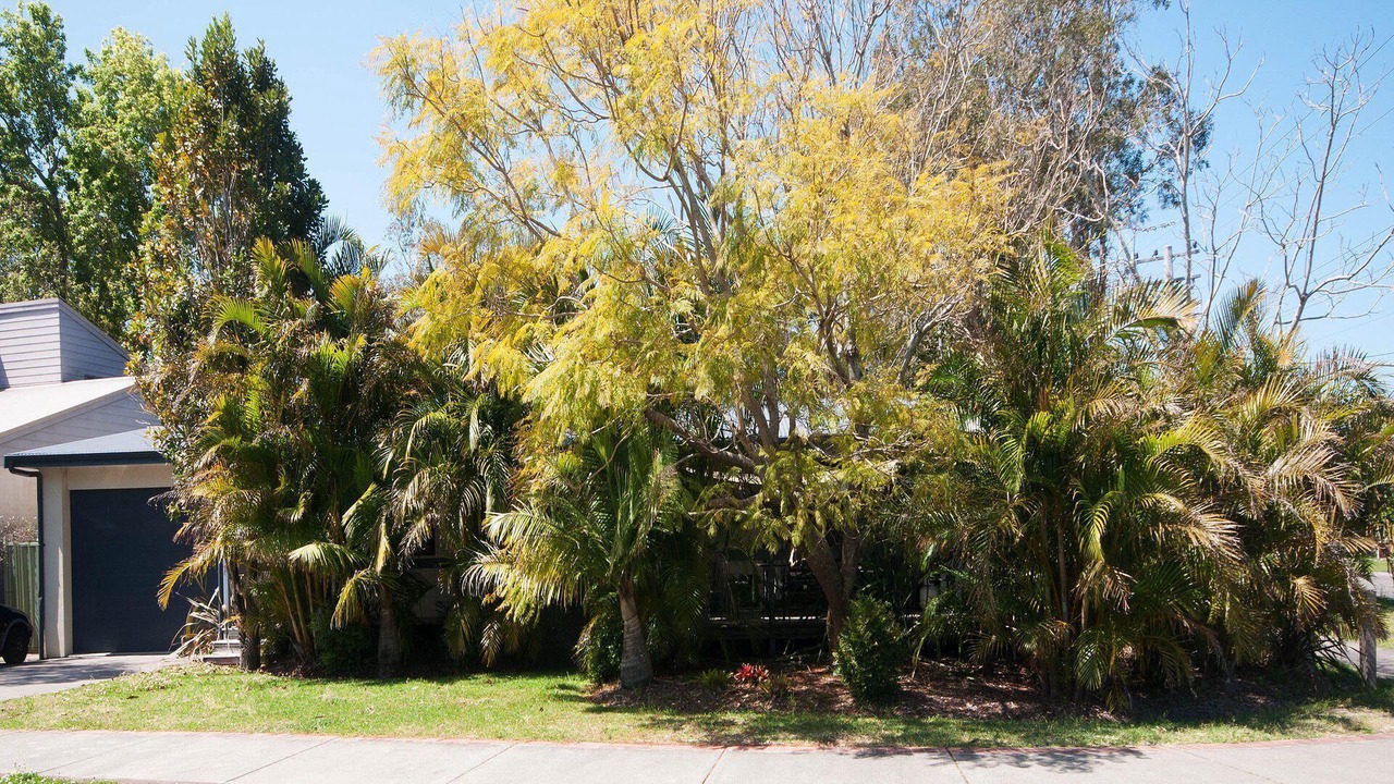 Photo of Outdoor in Tea Gardens