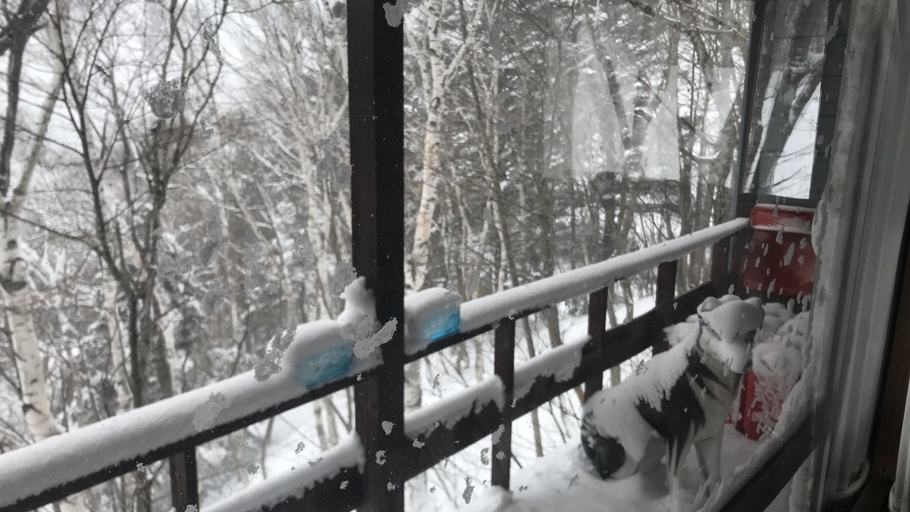 Photo of Others in Yuzawa