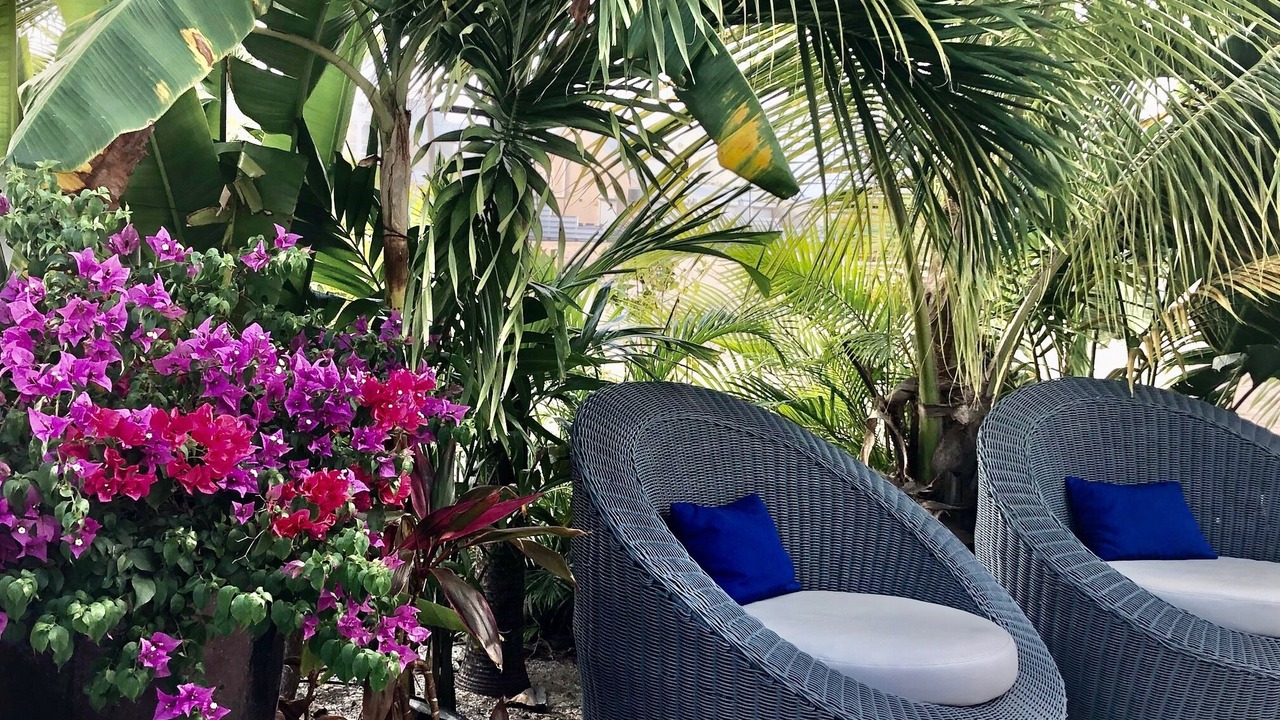 Photo of Patio Balcony in Nettle Bay