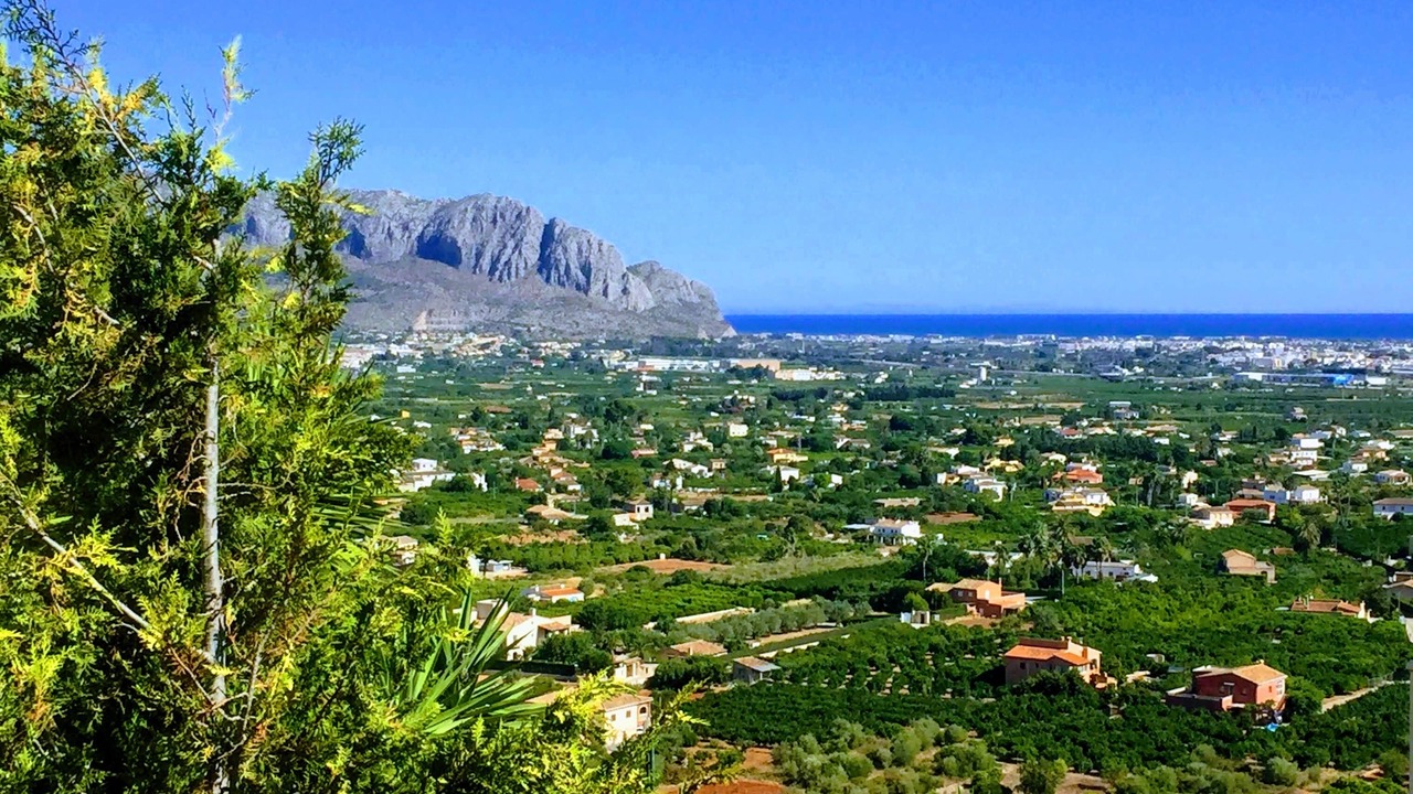 Photo of Outdoor in Pedreguer