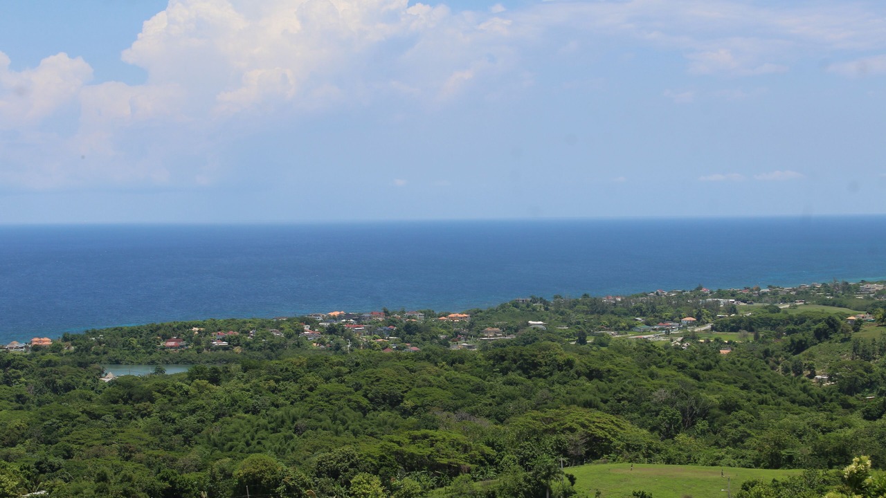 Photo of Others in Lucea