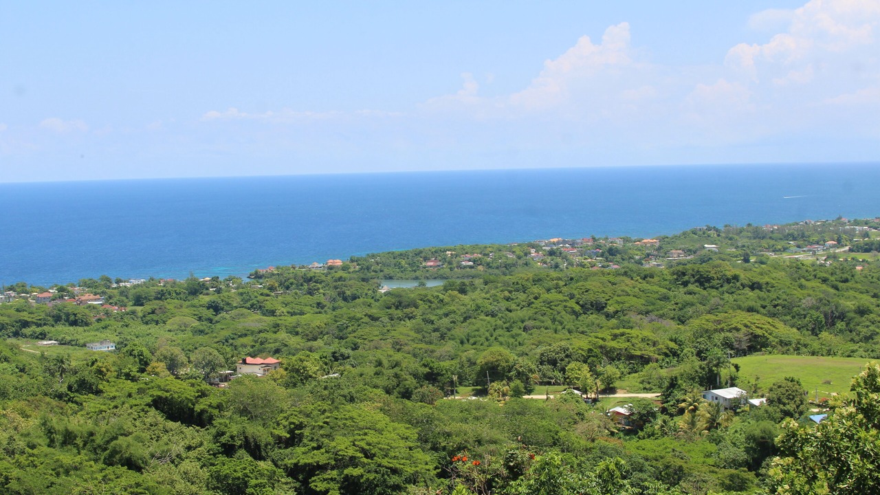 Photo of Others in Lucea