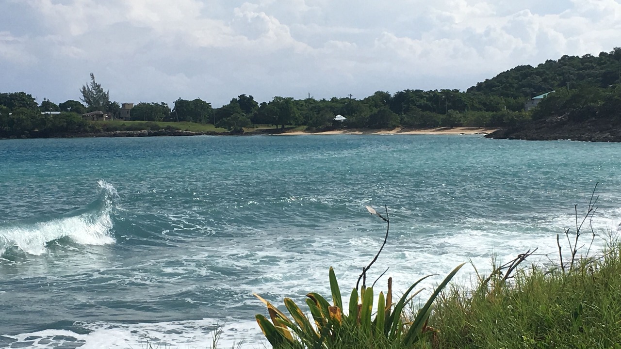 Photo of Others in Lucea