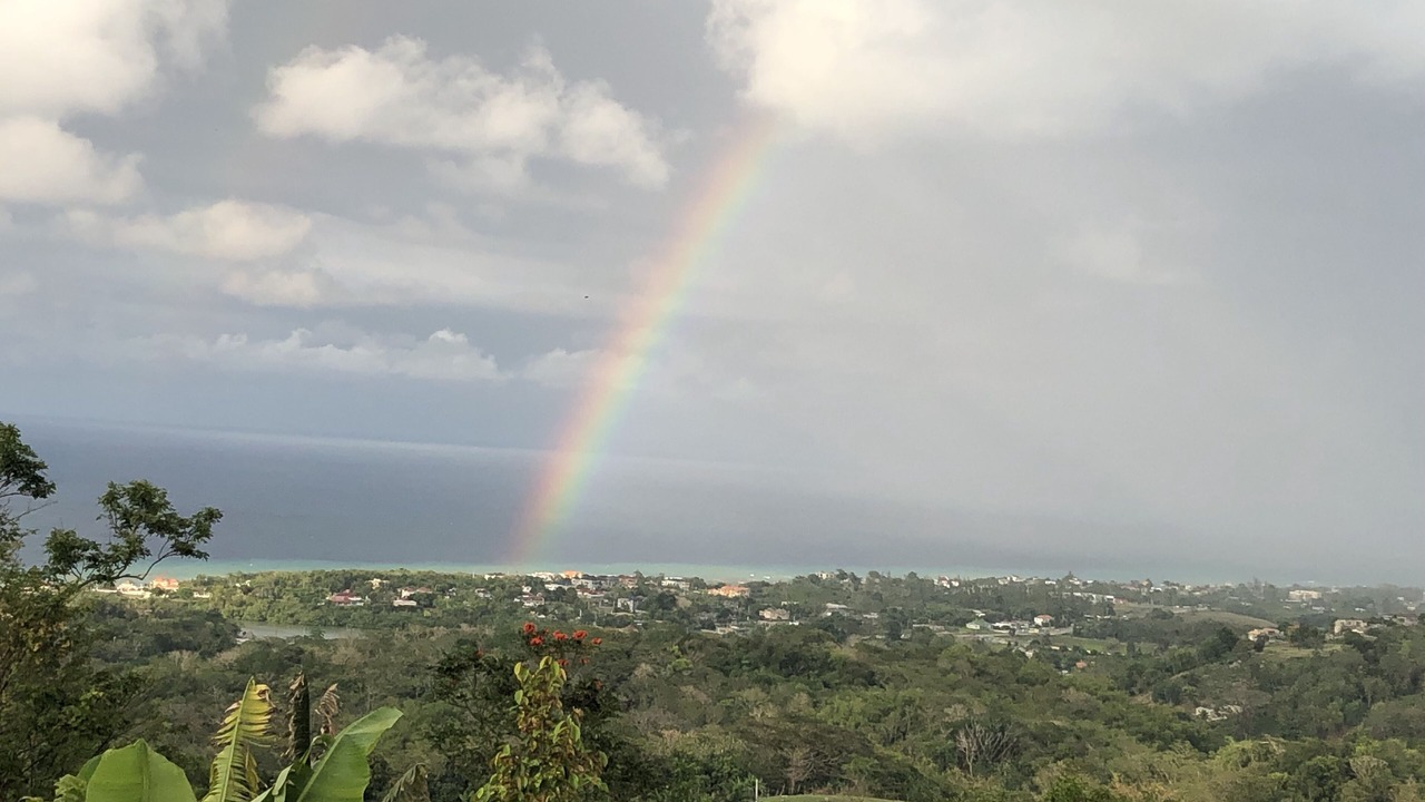 Photo of Outdoor in Lucea