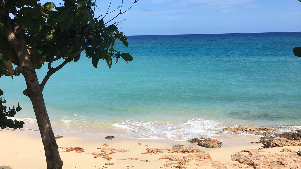 Photo of Others in Lucea