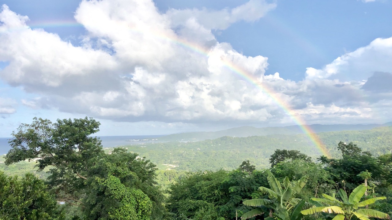 Photo of Others in Lucea