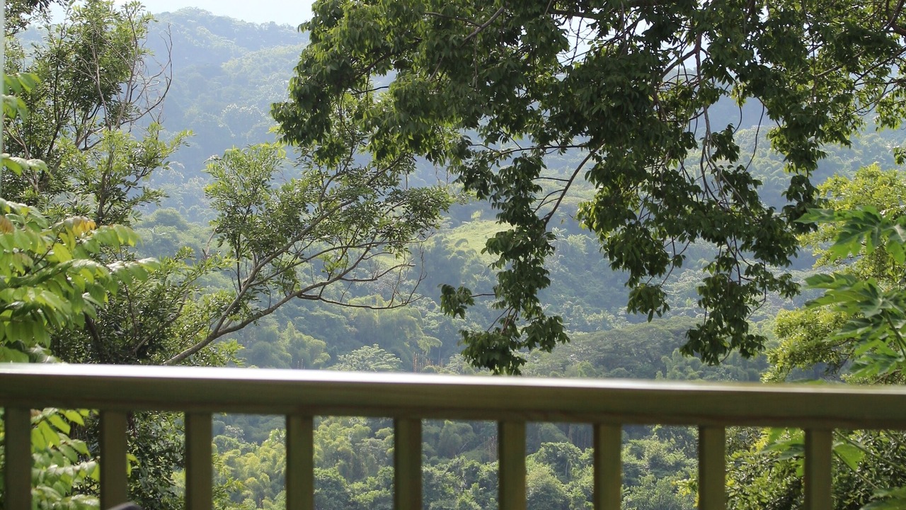 Photo of Outdoor in Lucea
