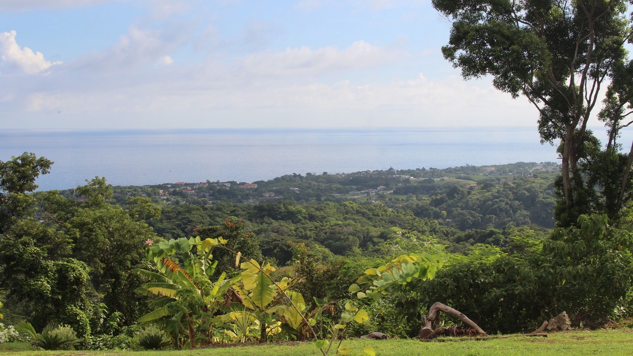 Photo of Outdoor in Lucea