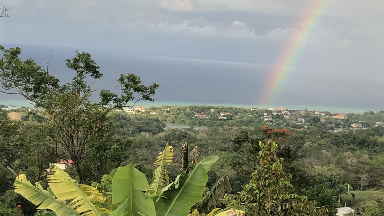 Photo of Others in Lucea