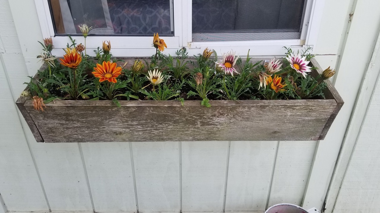 Photo of Outdoor in Frankfort
