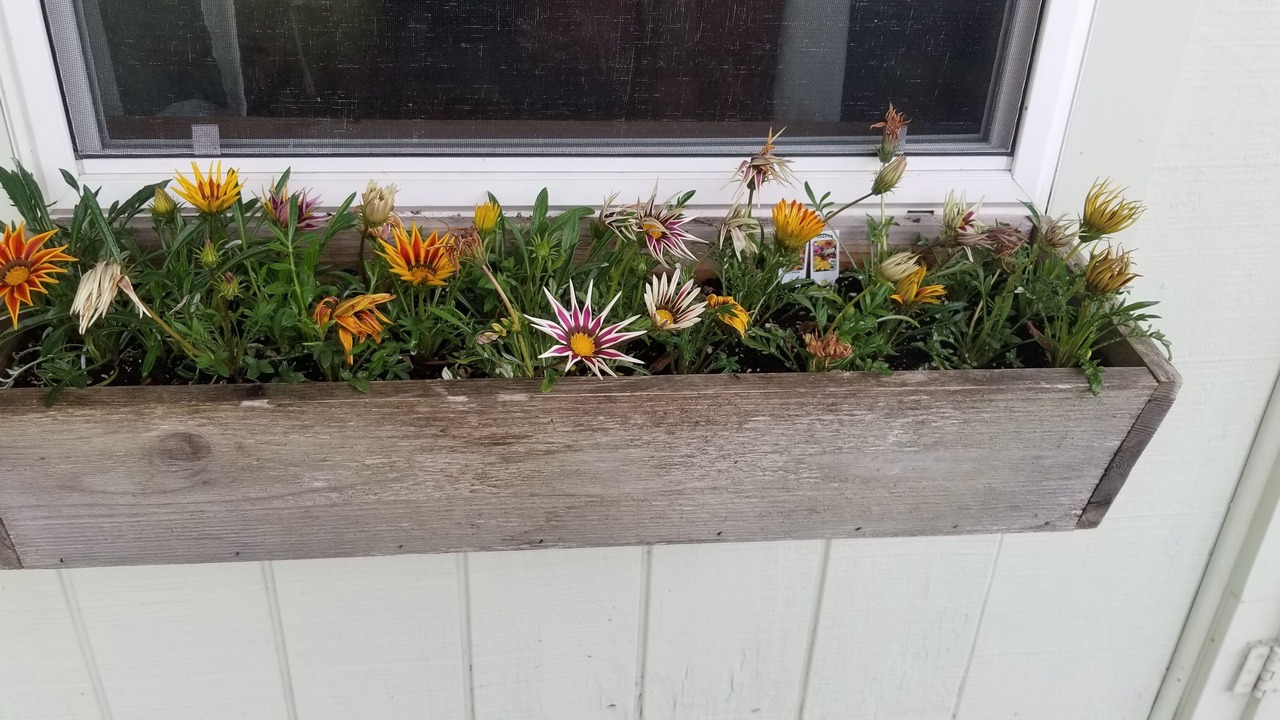 Photo of Outdoor in Frankfort