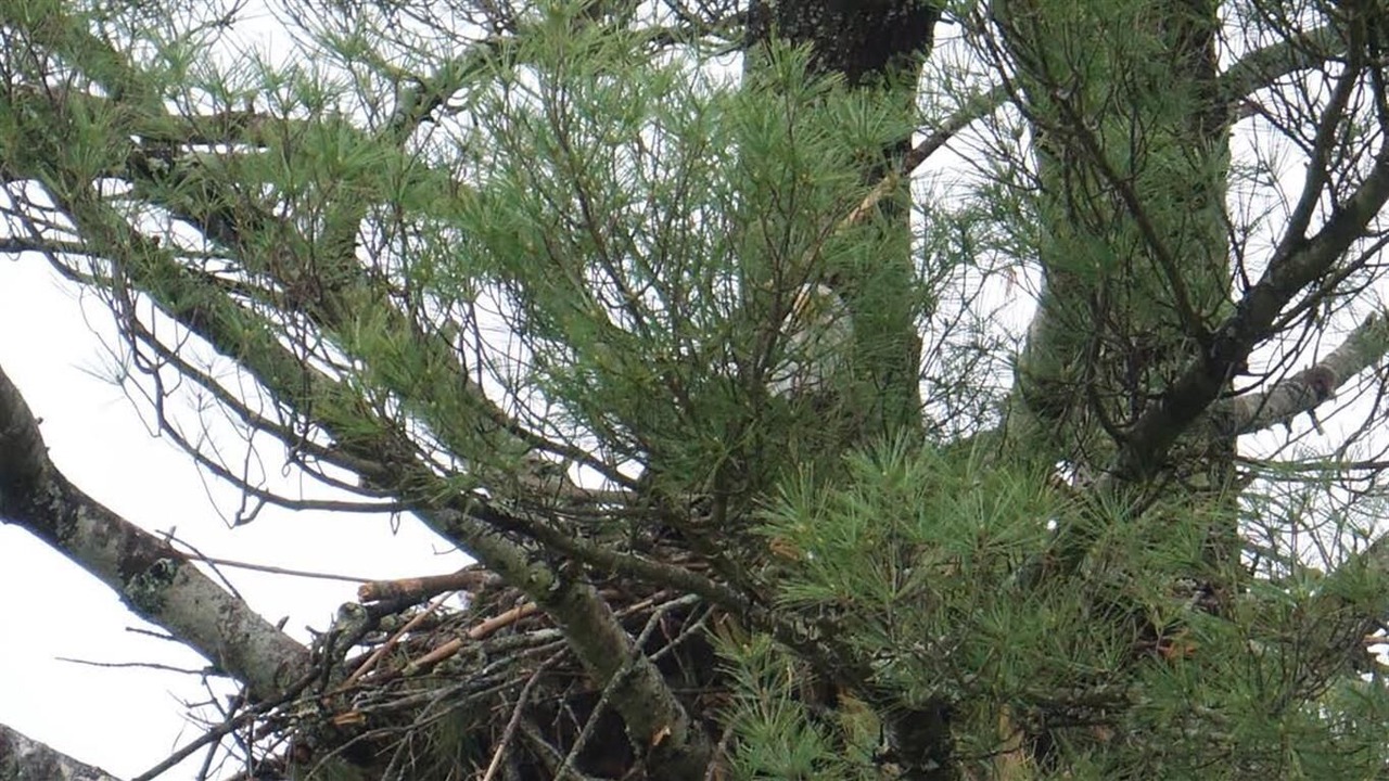 Photo of Outdoor in Barryville