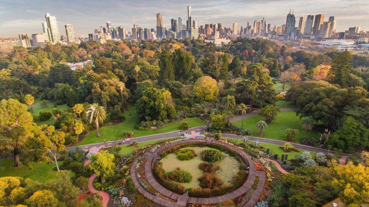 Photo of Others in South Melbourne