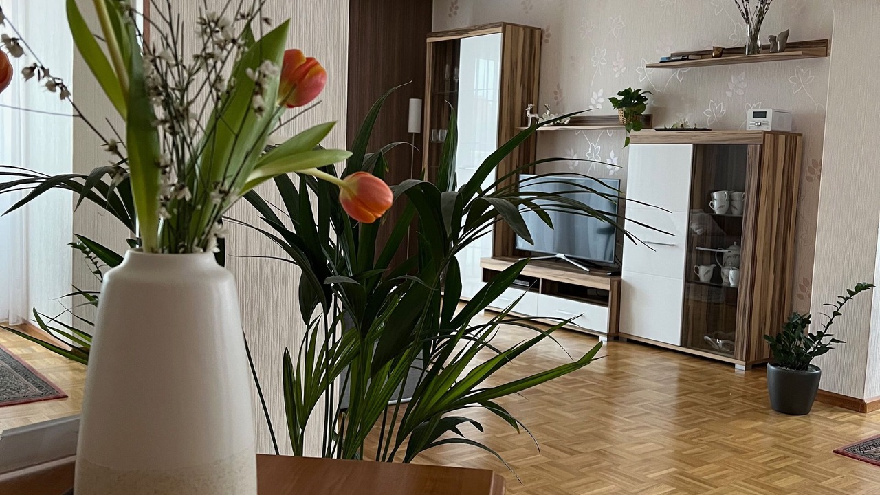 Photo of Others in Freiburg im Breisgau