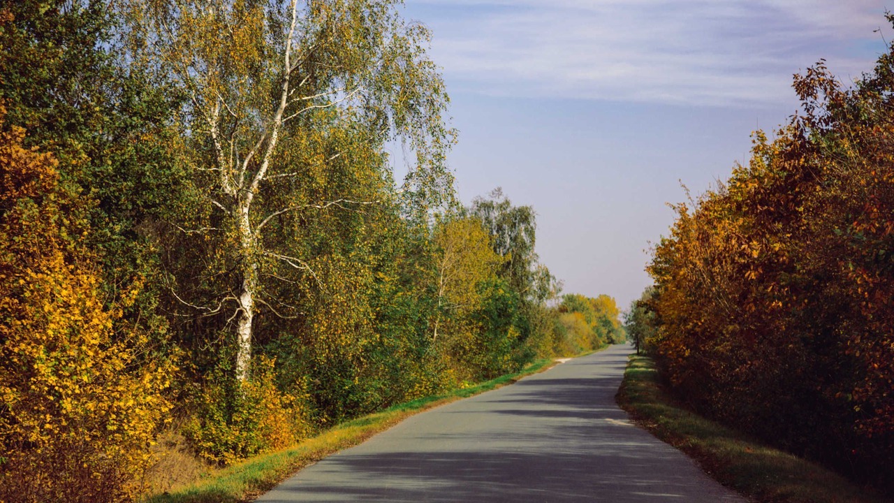 Photo of Others in Zwenkau