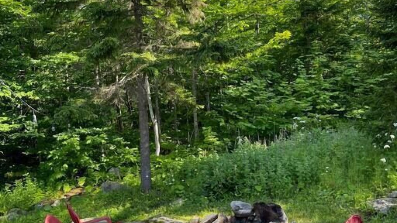 Photo of Outdoor in Stratton Mountain