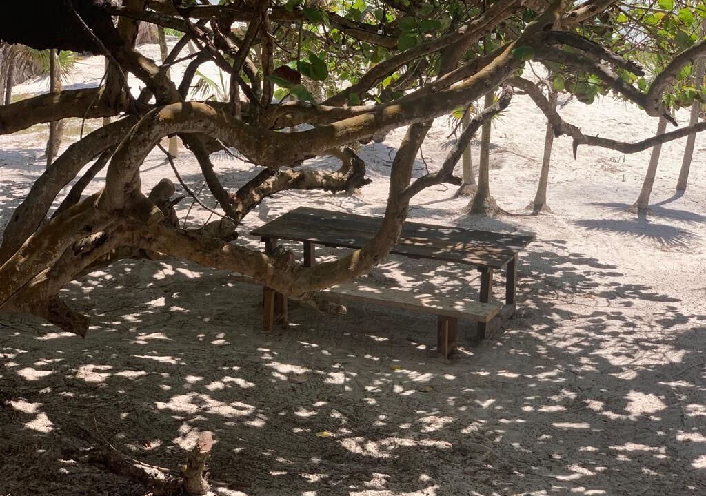 Photo of Outdoor in Playa Paraiso
