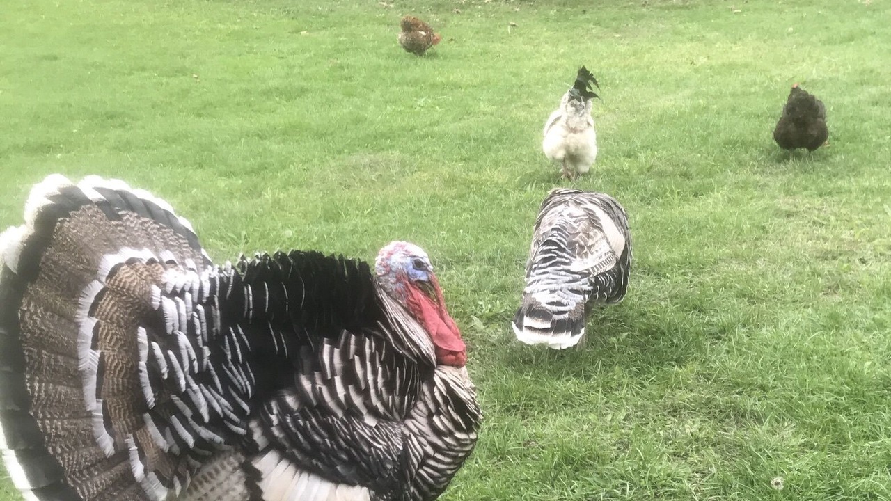 Photo of Outdoor in Bennington