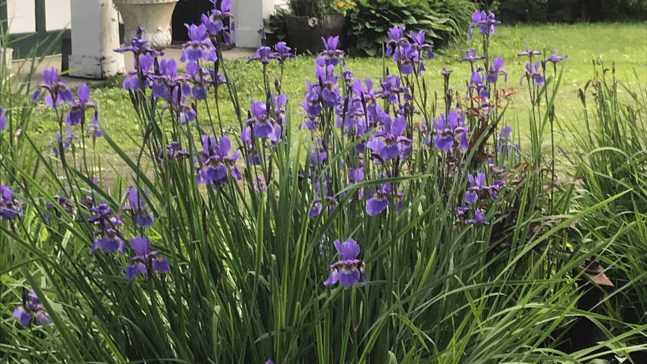 Photo of Outdoor in Bennington