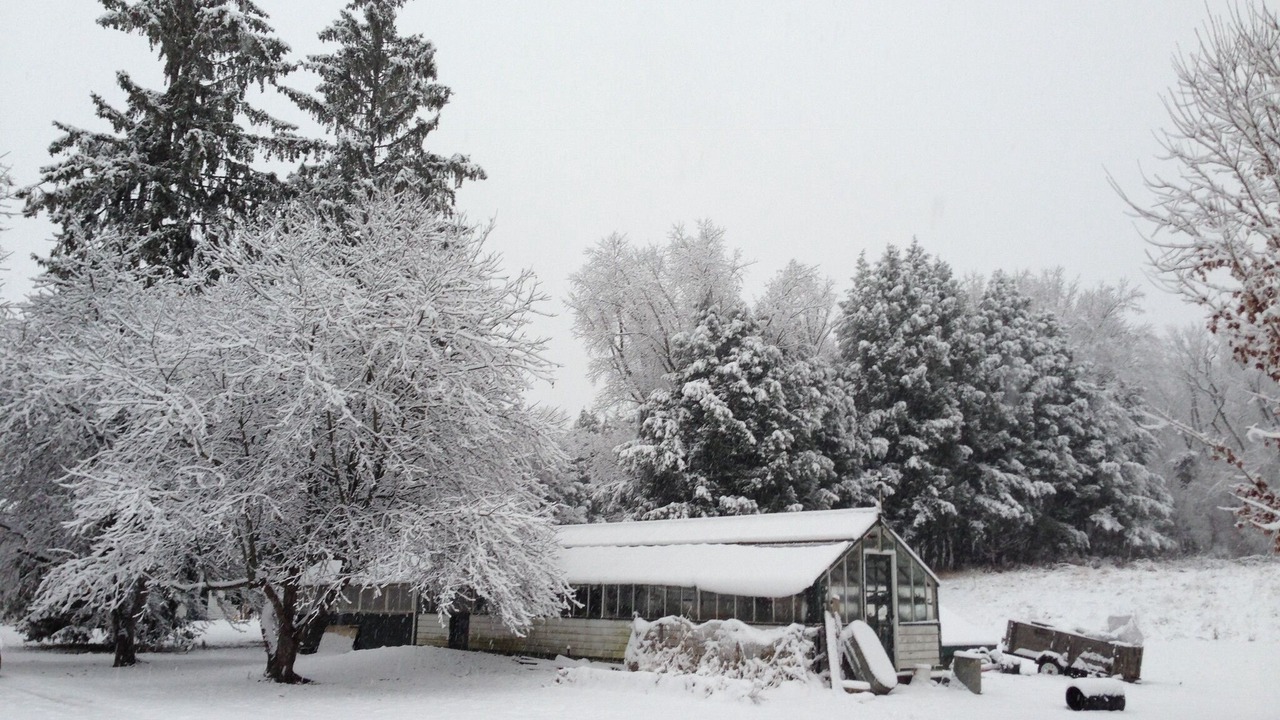 Photo of Outdoor in Bennington