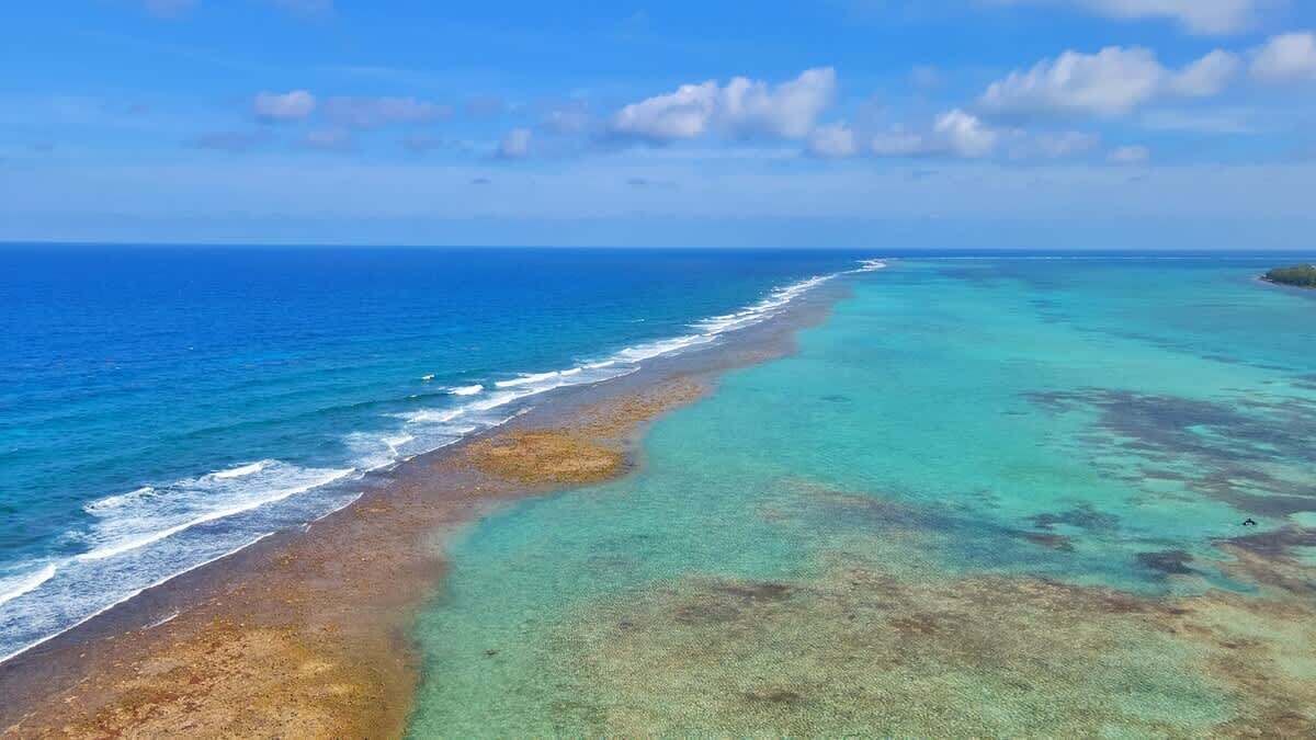 Photo of Others in Colliers Bay