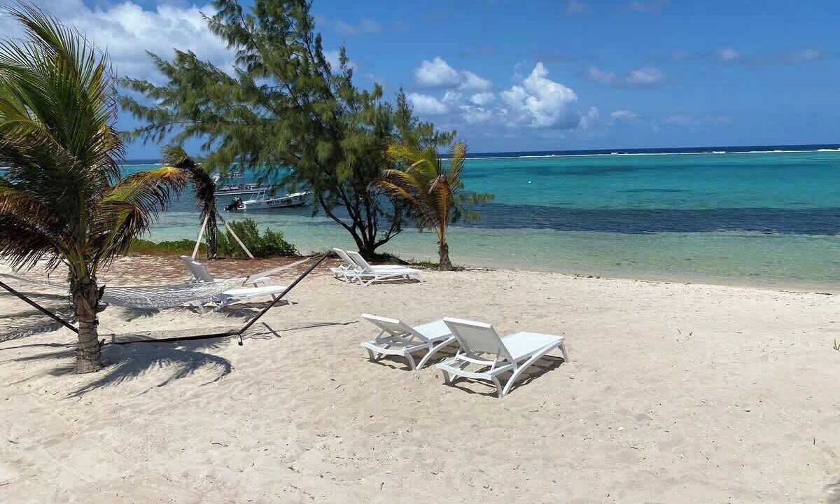 Photo of Others in Colliers Bay