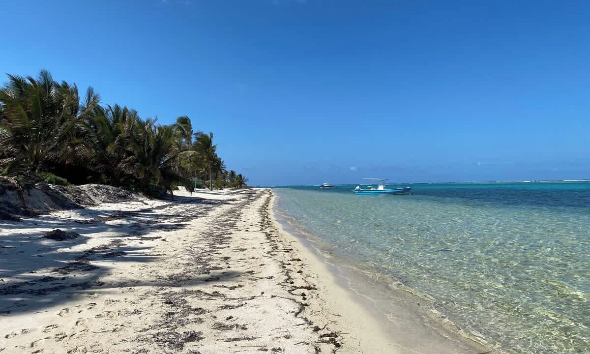 Photo of Others in Colliers Bay