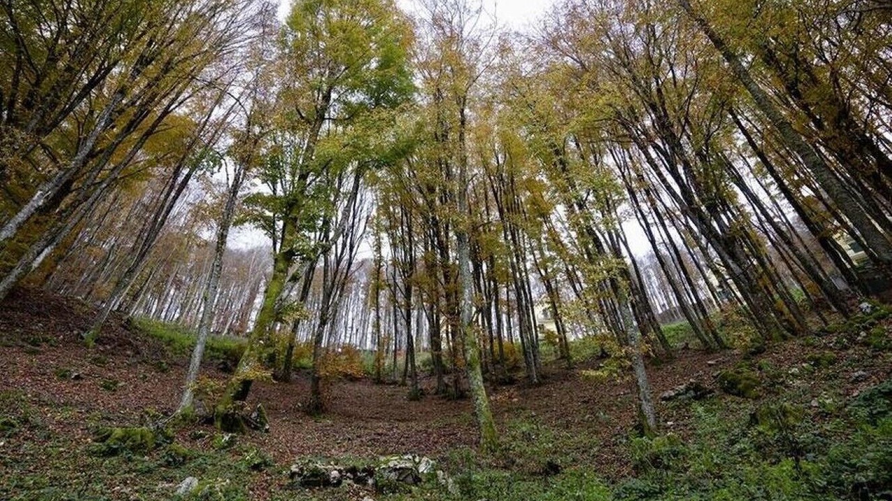 Photo of Outdoor in Piglio