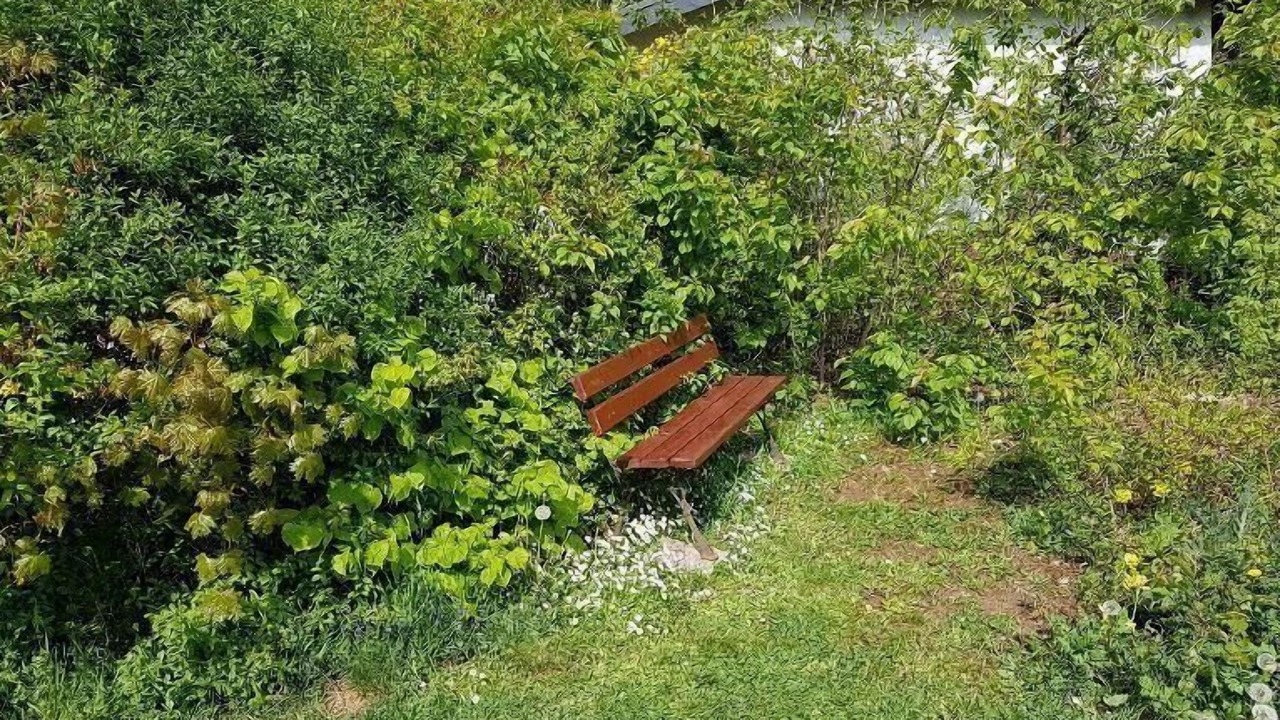 Photo of Outdoor in Sangerhausen