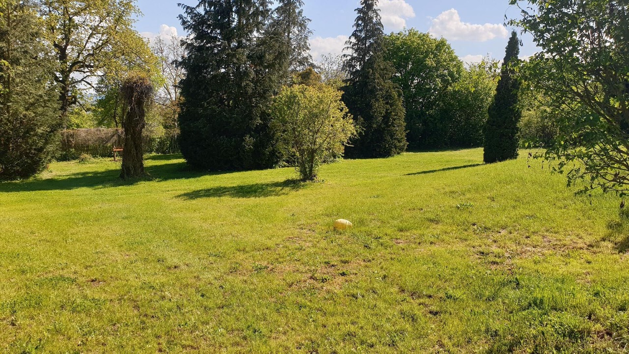 Photo of Outdoor in Sangerhausen