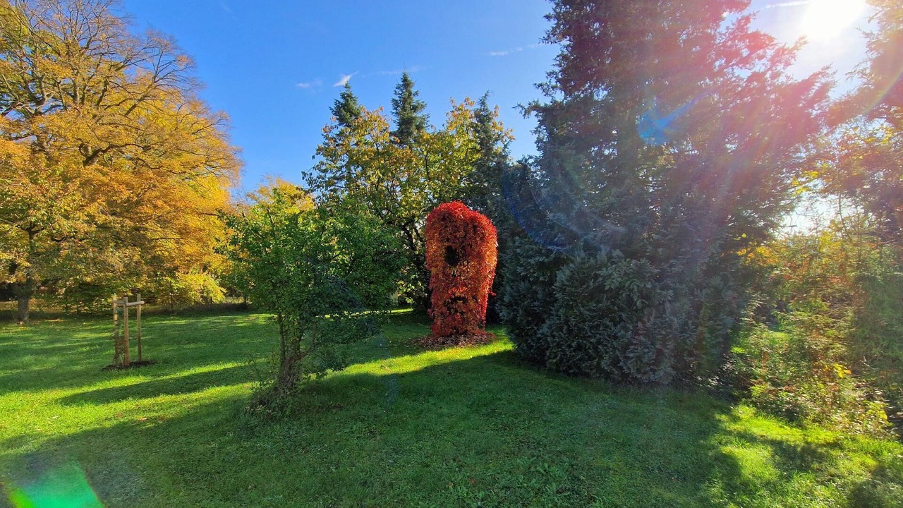 Photo of Others in Sangerhausen