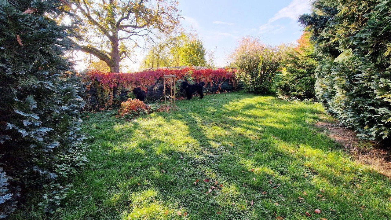 Photo of Outdoor in Sangerhausen