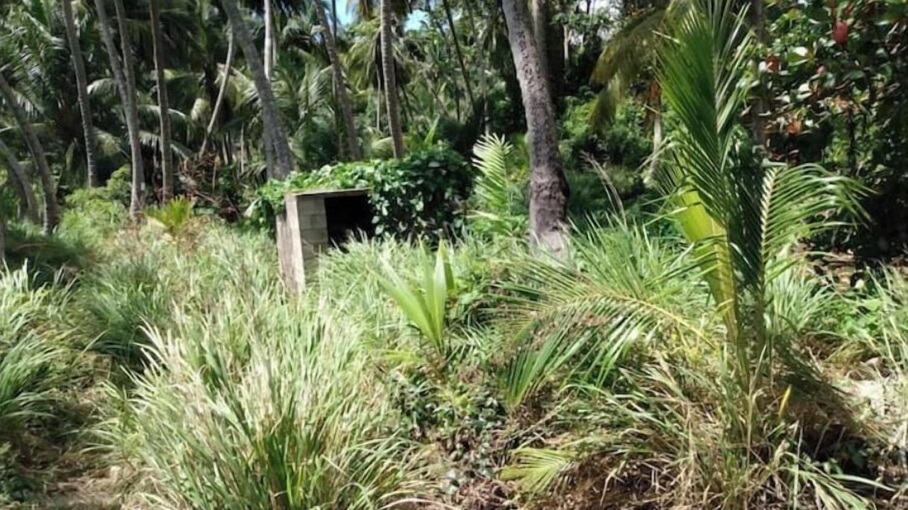 Photo of Outdoor in Newcastle