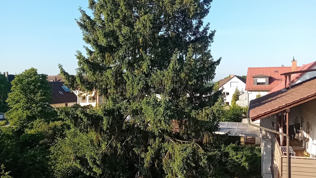 Photo of Outdoor in Plankstadt