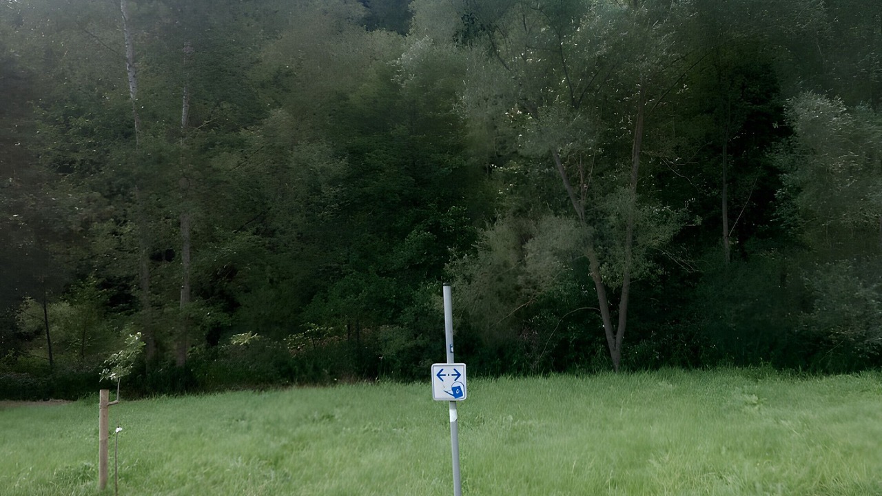 Photo of Others in Nuttlar