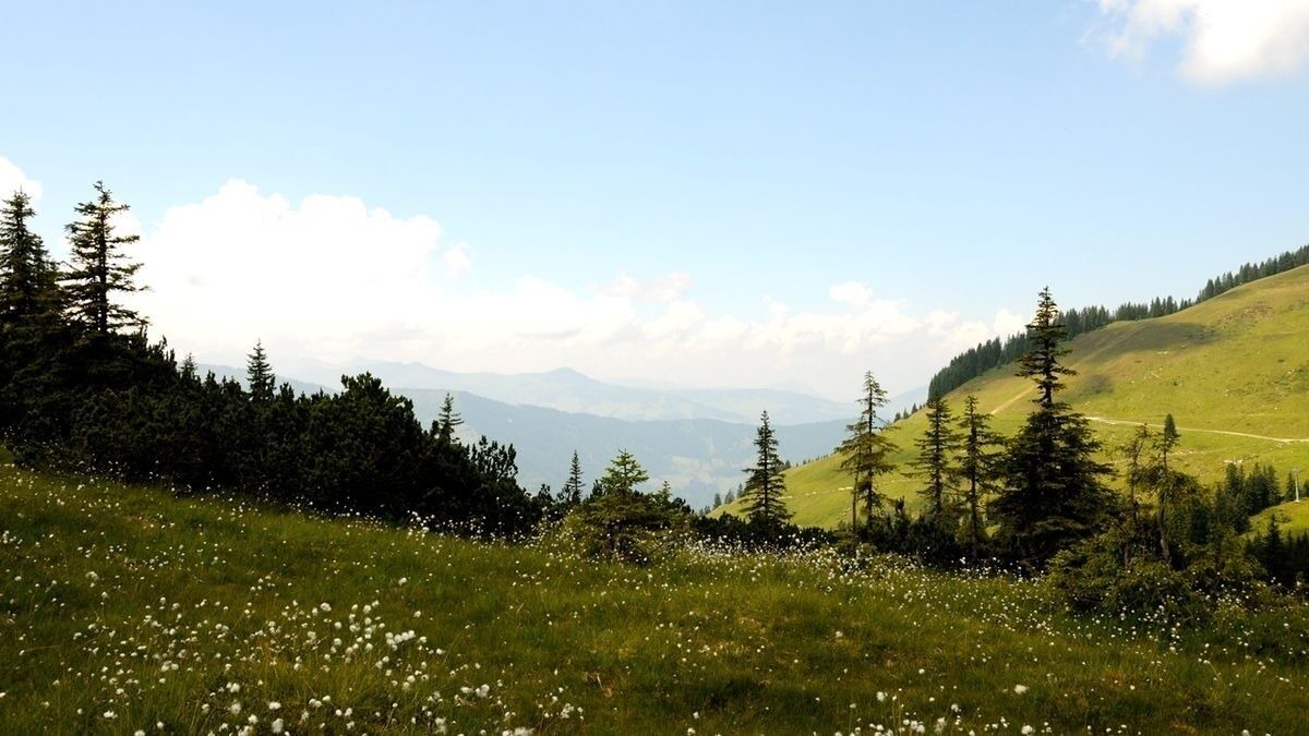 Photo of Others in Westendorf