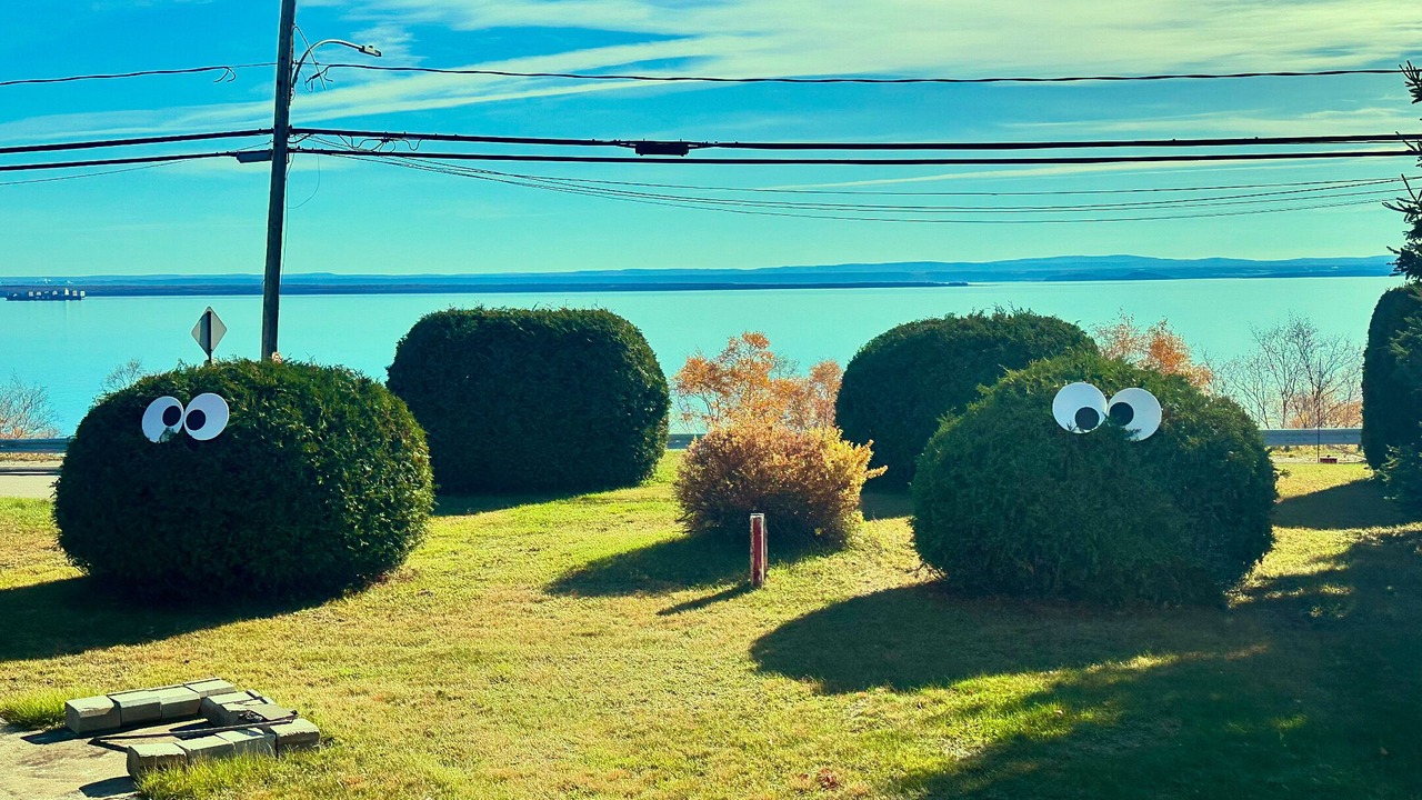 Photo of Outdoor in Saint-Simeon