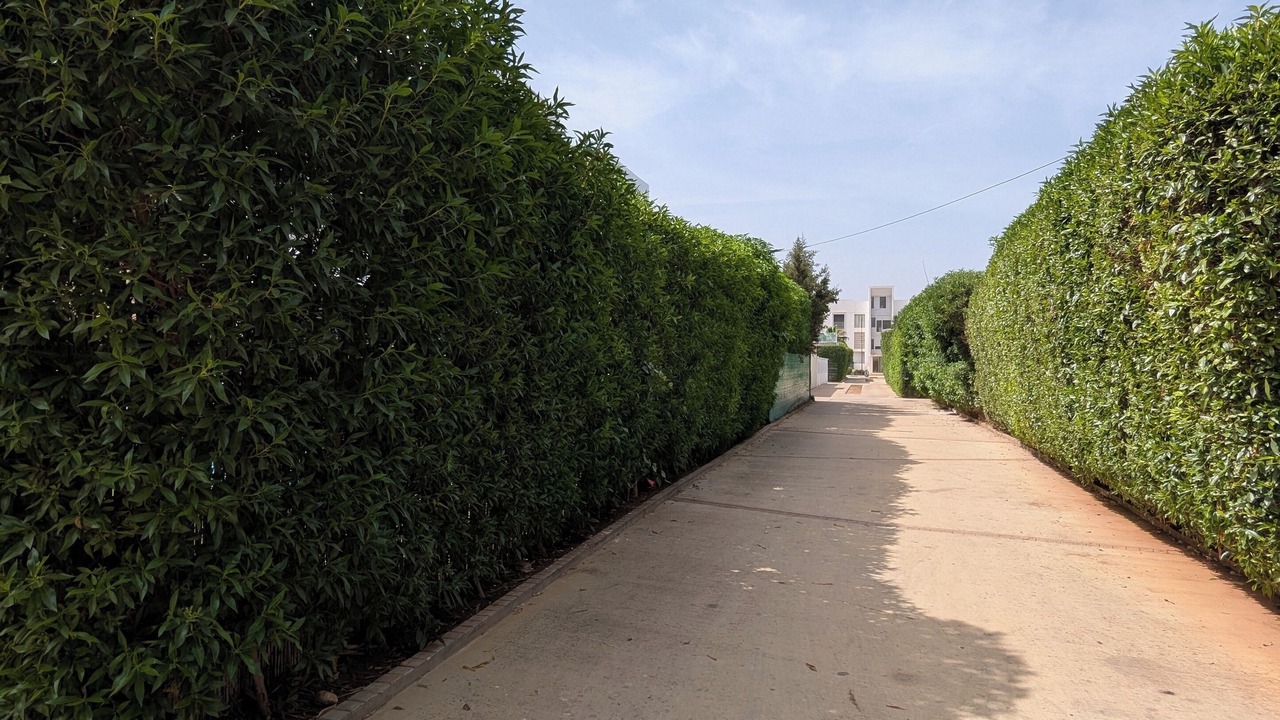 Photo of Outdoor in Tamariss